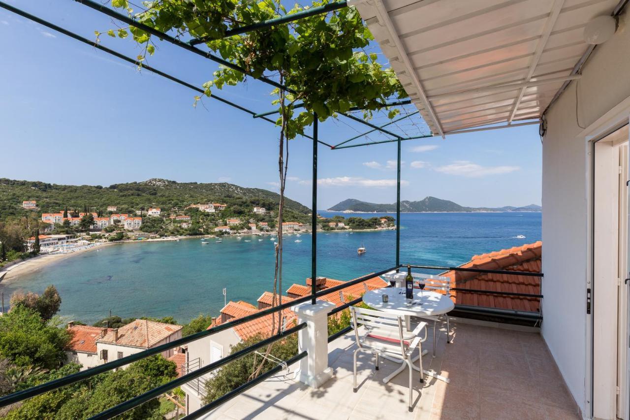 Apartment Miskovic *